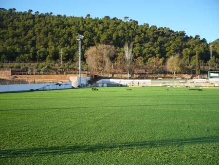 2011-Camp de futbol amb gespa